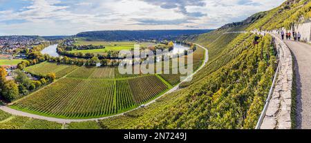 Boucle Neckar près de Mundelsheim, Bade-Wurtemberg, Allemagne Banque D'Images