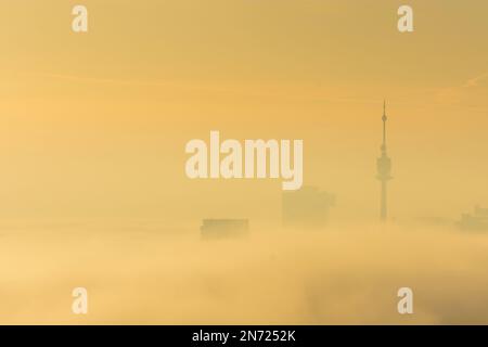 Vienne, Vienne dans la brume matinale, brouillard au sol, après le lever du soleil, les gratte-ciels sortent du brouillard au sol, Donauturm (Tour du Danube), vue de Leopoldsberg en 00. Vue d'ensemble, Vienne, Autriche Banque D'Images