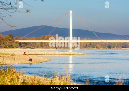 Parc national Donau-Auen, parc national Danube-Auen, pont routier Andreas-Maurer-Brücke, rivière Donau (Danube), vue sur la ville de Hainburg et la montagne Braunsberg, conception de la rive quasi naturelle, couleurs d'automne à Donau, Basse-Autriche, Autriche Banque D'Images