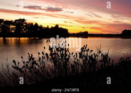 Les étoiles se rassemblent au coucher du soleil au-dessus de Hatchet Pond dans la New Forest, Hampshire. Banque D'Images