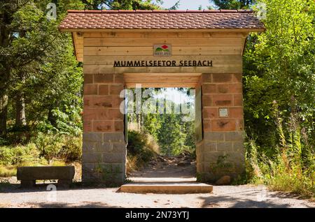 Mummenseetor Seebach, Westweg, Mummelsee, Seebach, parc national de la Forêt-Noire, Bade-Wurtemberg, Allemagne Banque D'Images