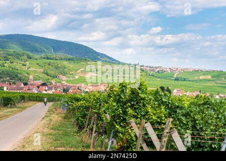 Gueberschwihr (Geberschweier, Gawerschwihr), vue sur le village de Gueberschwihr (Geberschweier, Gawerschwihr), vignobles, montagnes des Vosges en Alsace (Elsss), Haut-Rhin (Oberelsass), France Banque D'Images