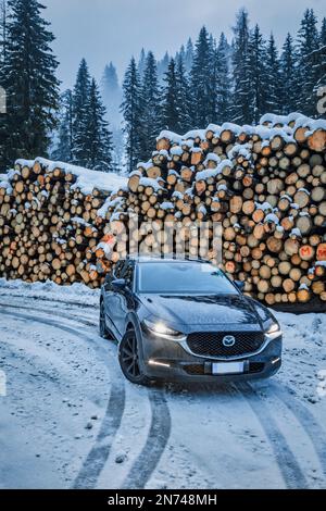 Italie, Vénétie, Belluno, une Mazda Motor Corp Véhicule utilitaire sport (vus) multisegment CX-30 en hiver, stationné près d'une pile de billes de sapin dans les Dolomites Banque D'Images