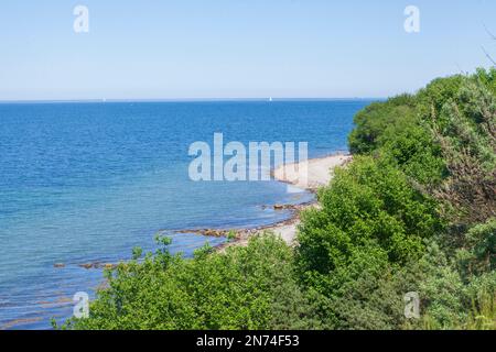 Brodtener Ufer Cliff, Lübeck Bay, Mer Baltique, Travemünde, Lübeck, Schleswig-Holstein, Allemagne, Europe Banque D'Images