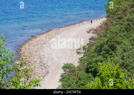 Brodtener Ufer Cliff, Lübeck Bay, Mer Baltique, Travemünde, Lübeck, Schleswig-Holstein, Allemagne, Europe Banque D'Images