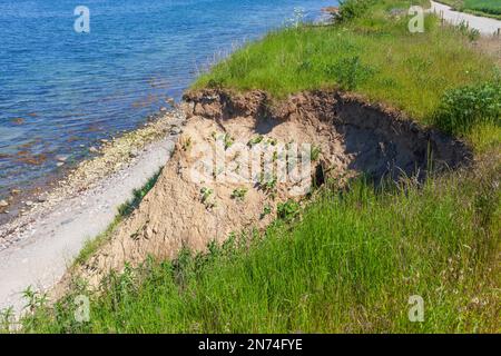 Brodtener Ufer Cliff, Lübeck Bay, Mer Baltique, Travemünde, Lübeck, Schleswig-Holstein, Allemagne, Europe Banque D'Images