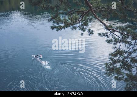 Natation professionnelle triathlète, entraînement dans un lac de montagne clair à Allgäu, Alatsee, Bavière, Allemagne Banque D'Images