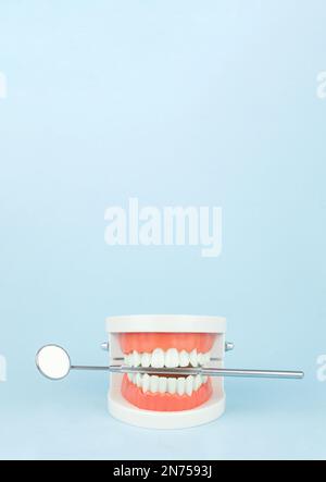 Fausses dents avec miroir de bouche de dentiste, mâchoires. Instruments de dentisterie et concept de contrôle de l'hygiéniste dentaire. Banque D'Images