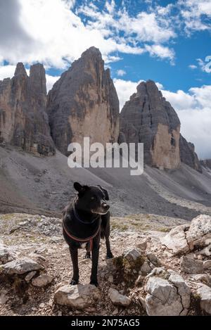 Une femme randonnée solitaire avec son chien autour des montagnes de Drei Zinnen, les Dolomites dans le Tyrol du Sud Banque D'Images