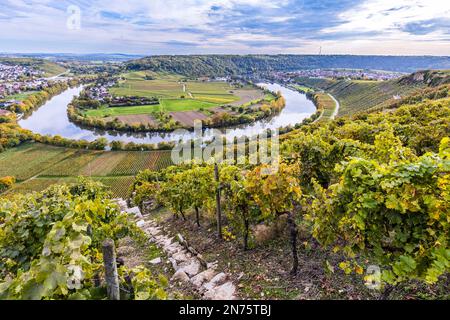 Vue de la Käsberg à la boucle Neckar près de Mundelsheim à la Württemberger Weinstraße, Bade-Wurtemberg, Allemagne Banque D'Images