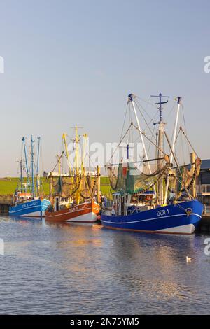 Coupe-pêche dans le port de Dorum-Neufeld, district de Cuxhaven, Basse-Saxe, Banque D'Images