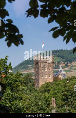 Allemagne, Rhénanie-Palatinat, Comté de Mayence-Bingen, Bingen am Rhein, Château de Klopp Banque D'Images