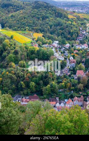 Allemagne, Hesse, Hesse du Sud, quartier de Hesse du Sud Bergstrasse, Heppenheim, vue de Starkenburg sur les vignobles Banque D'Images