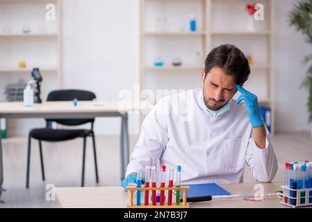 Jeune chimiste travaillant au laboratoire Banque D'Images