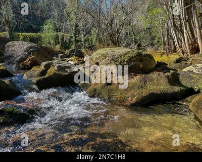 Cours d'eau près de la cascade de Fecha de Barjas (également connue sous le nom de cascade de Tahiti) dans les montagnes du parc national de Peneda-Geres, Portugal. Banque D'Images