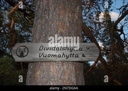 Le parc national de Øvre Dividal à Dividalen, dans la municipalité de Målselv, dans la province de Troms, en Norvège, est bien connu pour ses forêts primaires de pins. Im Øvre Banque D'Images