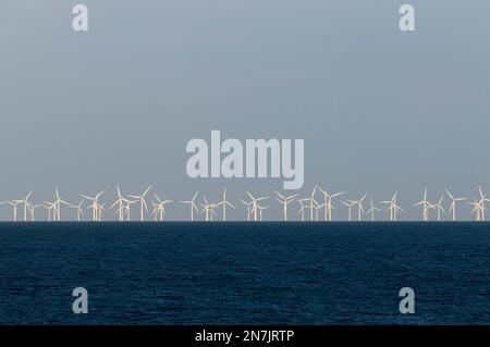 Parc éolien de Nysted, dans la mer Baltique. Banque D'Images