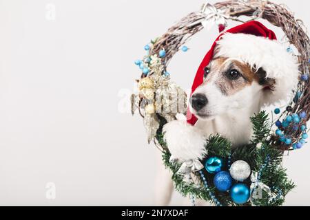 chien mignon portant chapeau avec décoration de noël Banque D'Images