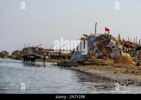 Maison Reed des Arabes des marais, marais mésopotamiens, Ahwar du sud de l'Irak, site de l'UNESCO, Irak Banque D'Images