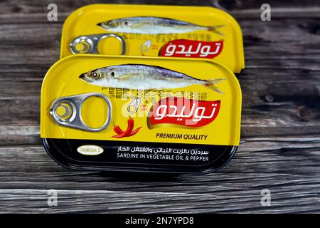 Le Caire, l'Egypte, 9 février 2023: Sardes Tolido en conserve dans l'huile végétale et le poivre, ouverture facile, pilchards de poisson sardine riches en éléments nutritifs, petit, huileux fis Banque D'Images