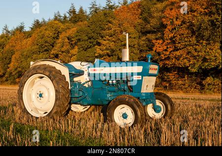 Tracteur Ford 4000 Pre-Force 1966 Vintage en automne Banque D'Images