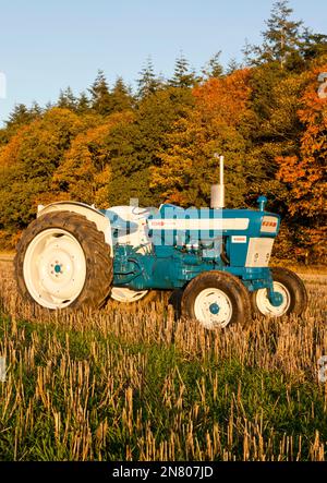 Tracteur Ford 4000 Pre-Force 1966 Vintage en automne Banque D'Images