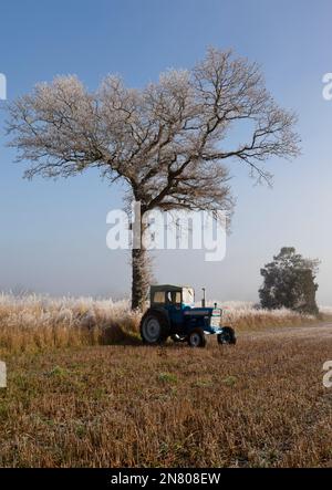 Tracteur Ford 4000 Pre-Force 1966 Vintage dans un paysage gelé Banque D'Images