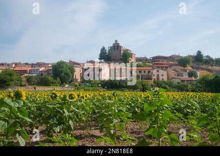 Vue d'ensemble. Aguilar de Anguita, province de Guadalajara, Castilla la Mancha, Espagne. Banque D'Images