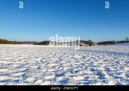 Paysage hivernal enneigé de la forêt bavaroise à la lumière du soir avec un ciel bleu clair Banque D'Images