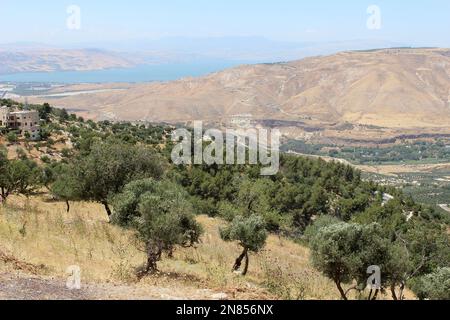 Vue sur la Réserve naturelle de Yarmouk et les hauteurs du Golan vers la mer de Galilée / Lac Tibériade depuis la ville d'Umm Qais, Jordanie, Moyen-Orient Banque D'Images