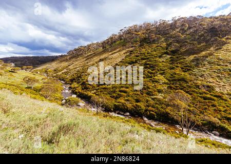 Une vue sur le paysage en fin d'après-midi sur la Cascade Hut Trail près de Dead Horse Gap et de Thredo dans le parc national de Kosciuszko, Nouvelle-Galles du Sud, Australie Banque D'Images