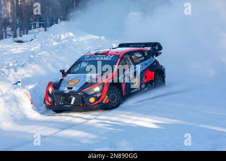 UMEÅ 20230211 Rally Suède, Rally-WC Round 2. Thierry Neuville, bel / Martijn Wydaeghe, bel, Hyundai i20 N Rally1 hybride. Sur l'une des stretch du samedi Banque D'Images