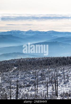 Magnifique paysage d'hiver vallonné et brumeux Banque D'Images