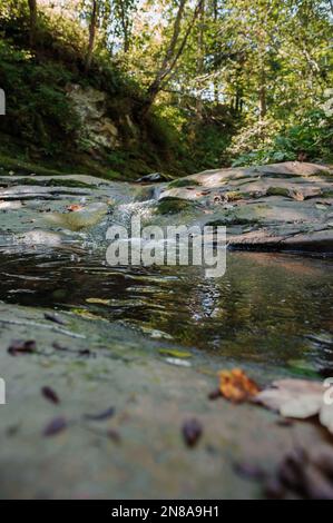 Rivière de montagne Rocky parmi la forêt. Belle rivière avec une cascade dans une forêt de conifères Banque D'Images