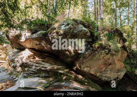 Rivière de montagne Rocky parmi la forêt. Belle rivière avec une cascade dans une forêt de conifères Banque D'Images