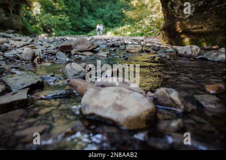 Rivière de montagne Rocky parmi la forêt. Belle rivière avec une cascade dans une forêt de conifères Banque D'Images
