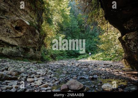 Rivière de montagne Rocky parmi la forêt. Belle rivière avec une cascade dans une forêt de conifères Banque D'Images