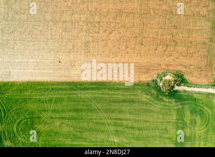 Image aérienne des terres agricoles. Récolte à l'extérieur Banque D'Images