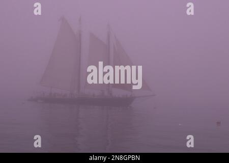 Un grand navire d'époque naviguant au large de la côte du Maine dans un brouillard typique du Maine Banque D'Images