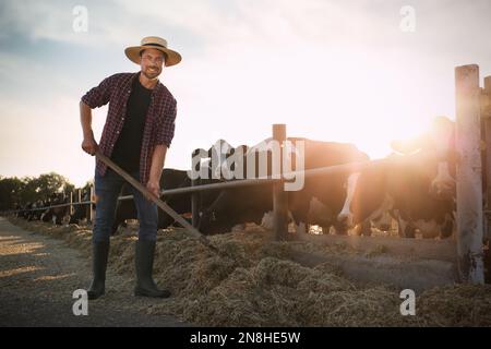 Homme avec pelle travaillant près d'un enclos de vache à la ferme. Élevage Banque D'Images