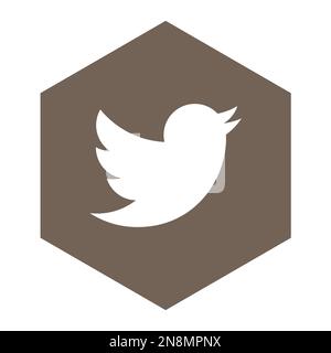 Icône de l'application Twitter sur les réseaux sociaux en forme d'hexagone marron. Illustration simple à vecteur plat. Illustration de Vecteur