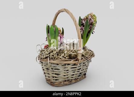 panier en osier jacinthes 3d minimum rendu sur fond blanc Banque D'Images