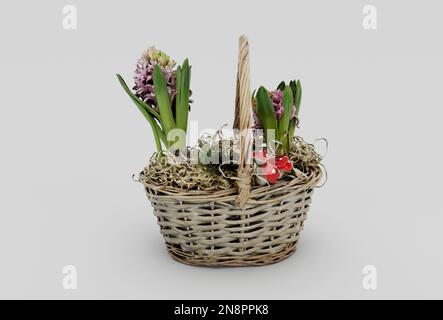 panier en osier jacinthes 3d minimum rendu sur fond blanc Banque D'Images