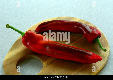 Encore plus de vie avec deux papiers à corne de taureau - ou des capsules pointues rouges Banque D'Images