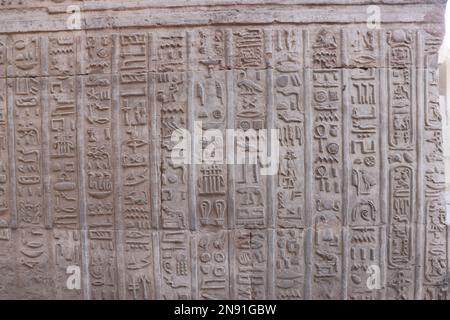 Hiéroglyphes égyptiens antiques sculptés au temple de Kom Ombo à Assouan, en Égypte Banque D'Images