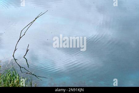 Eaux claires d'un petit lac par jour de pluie dans la réserve naturelle de Zelenci, Slovénie Banque D'Images