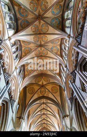 Plafond voûté à l'intérieur de l'église de la cathédrale, Salisbury, Wiltshire, Angleterre, Royaume-Uni Banque D'Images