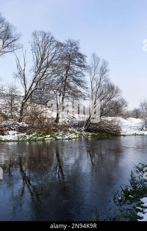 La rivière traverse la forêt. À la fin de l'automne dans la forêt, les arbres se tiennent sans feuilles et se reflètent dans l'eau de la rivière après la chute de neige, sn Banque D'Images