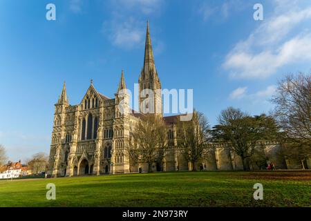Église de la cathédrale de Salisbury, Salisbury, Wiltshire, Angleterre, Royaume-Uni Banque D'Images