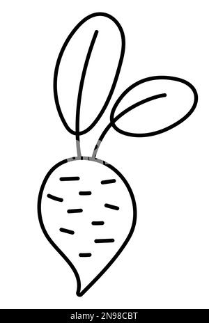 Icône de ligne de betterave noire et blanche vectorielle. Légumes d'automne. Aperçu de la plante racinaire de la betterave. Illustration amusante de récolte de légumes ou page de coloriage isolée sur W Illustration de Vecteur
